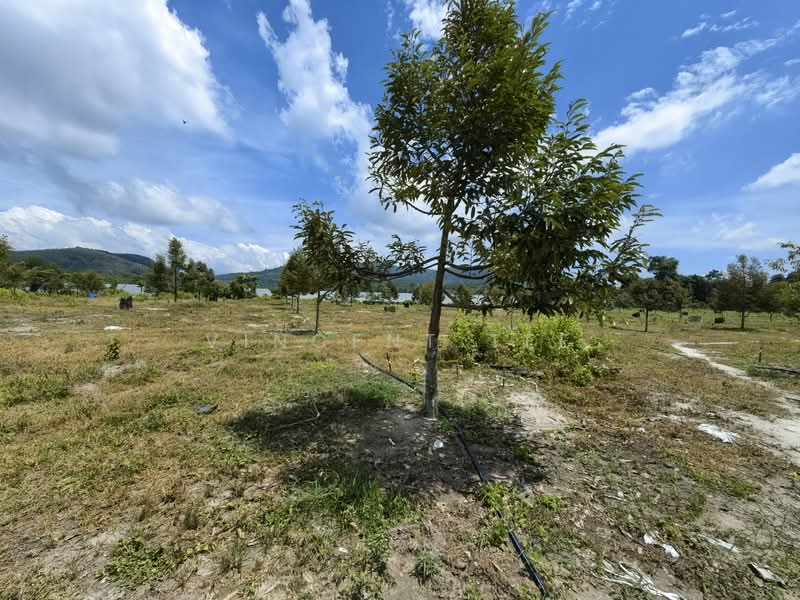 Agricultural Land for Sale in Bentong (Pahang) - Vincent Tee - Garden - PropertyGuru.com.my