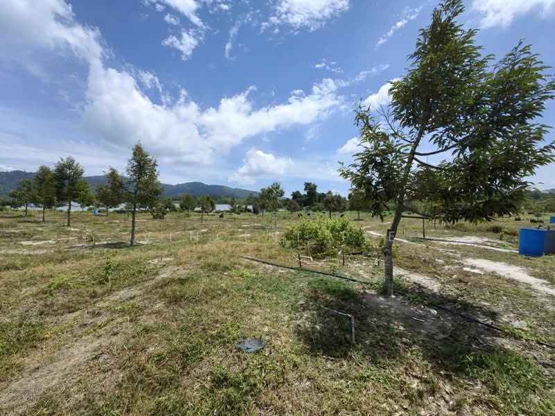 Agricultural Land for Sale in Bentong (Pahang) - Vincent Tee - Exterior - PropertyGuru.com.my