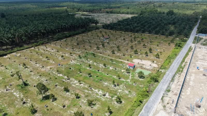 Agricultural Land for Sale in Bentong (Pahang) - Vincent Tee - Exterior - PropertyGuru.com.my