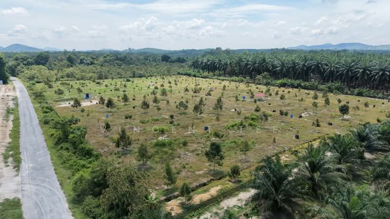 Agricultural Land for Sale in Bentong (Pahang) - Vincent Tee - Exterior - PropertyGuru.com.my