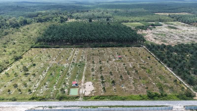 Agricultural Land for Sale in Bentong (Pahang) - Vincent Tee - Exterior - PropertyGuru.com.my