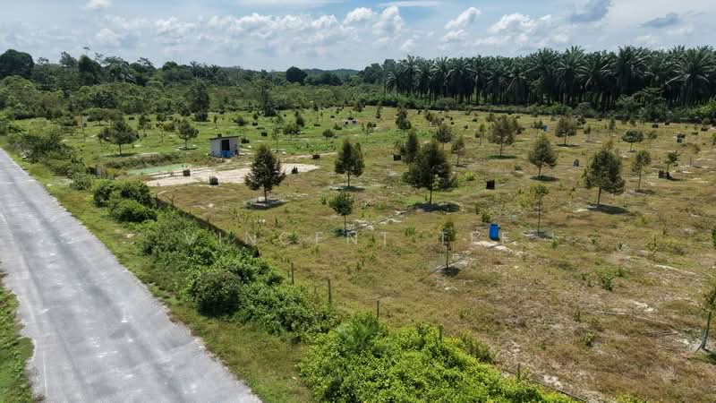 Agricultural Land for Sale in Bentong (Pahang) - Vincent Tee - Exterior - PropertyGuru.com.my