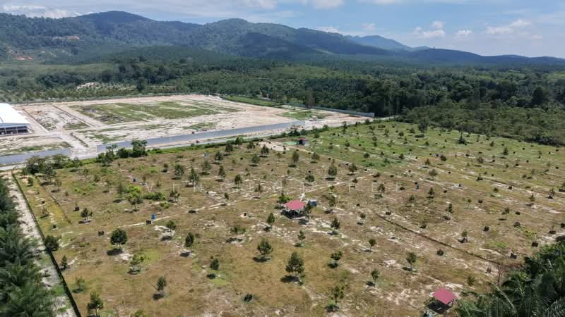 Agricultural Land for Sale in Bentong (Pahang) - Vincent Tee - Exterior - PropertyGuru.com.my