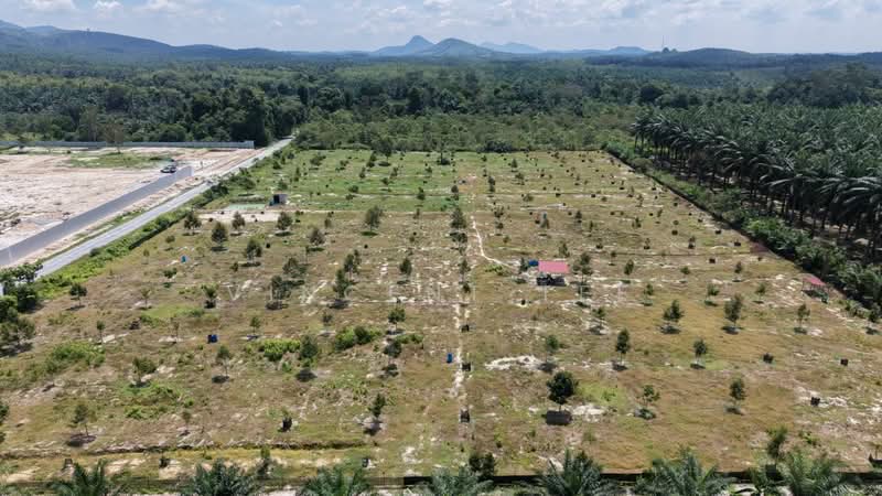 Agricultural Land for Sale in Bentong (Pahang) - Vincent Tee - Exterior - PropertyGuru.com.my