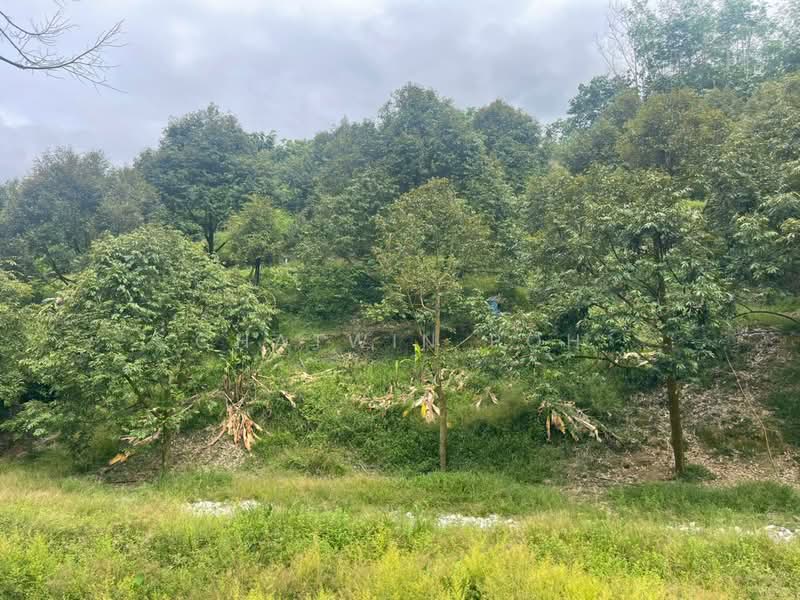 Tanah Pertanian untuk Dijual di Raub (Pahang) - Chatwin Poh - Exterior - PropertyGuru.com.my