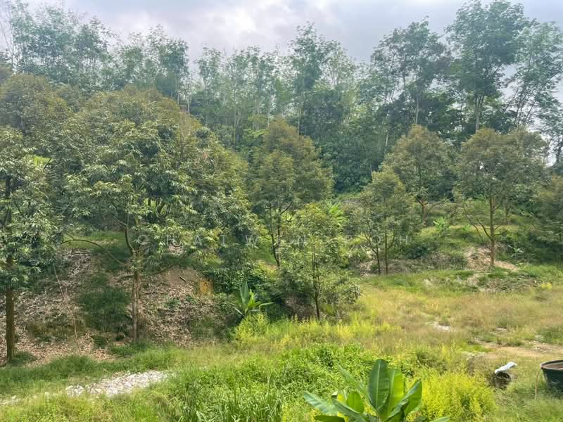 Tanah Pertanian untuk Dijual di Raub (Pahang) - Chatwin Poh - Exterior - PropertyGuru.com.my