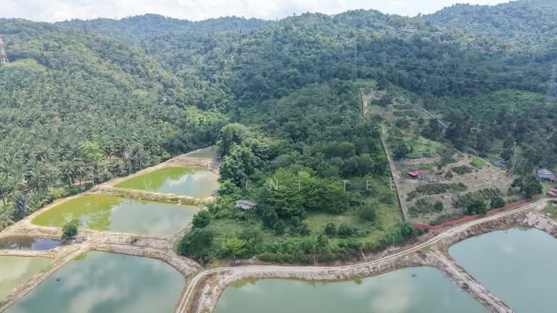 Tanah Pertanian untuk Dijual di Pantai (Negeri Sembilan) - Vincent Tee - Exterior - PropertyGuru.com.my