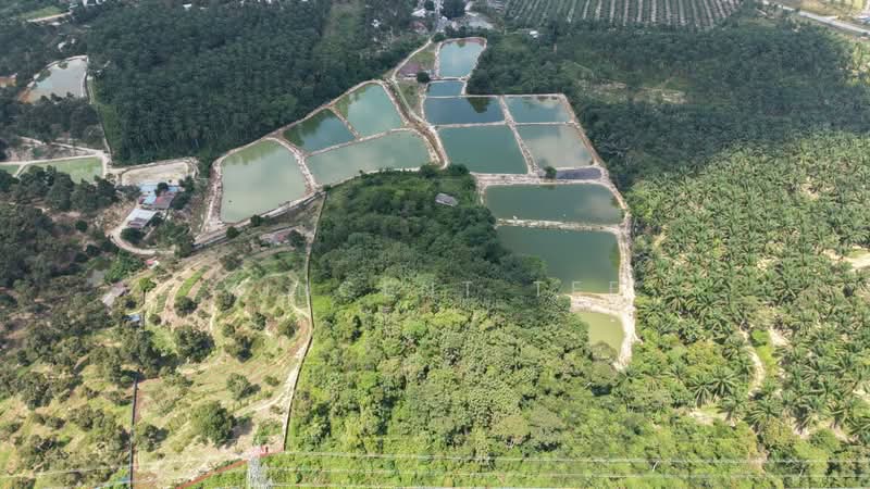 Tanah Pertanian untuk Dijual di Pantai (Negeri Sembilan) - Vincent Tee - Exterior - PropertyGuru.com.my