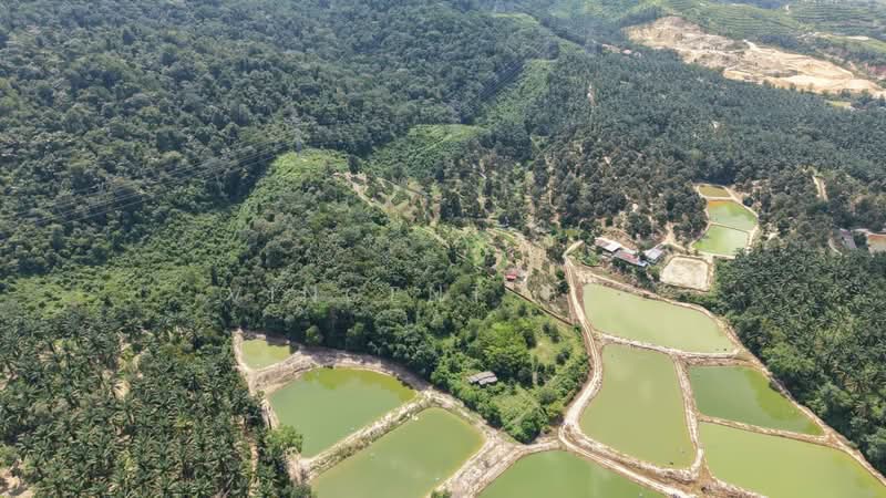 Tanah Pertanian untuk Dijual di Pantai (Negeri Sembilan) - Vincent Tee - Exterior - PropertyGuru.com.my