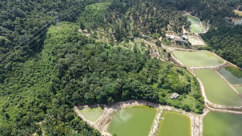 Tanah Pertanian untuk Dijual di Pantai (Negeri Sembilan) - Vincent Tee - Exterior - PropertyGuru.com.my