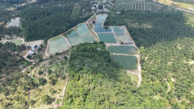 Tanah Pertanian untuk Dijual di Pantai (Negeri Sembilan) - Vincent Tee - Exterior - PropertyGuru.com.my