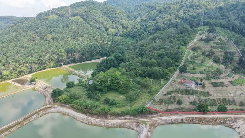 Tanah Pertanian untuk Dijual di Pantai (Negeri Sembilan) - Vincent Tee - Exterior - PropertyGuru.com.my