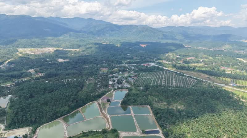 Tanah Pertanian untuk Dijual di Pantai (Negeri Sembilan) - Vincent Tee - Exterior - PropertyGuru.com.my
