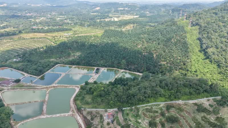 Tanah Pertanian untuk Dijual di Pantai (Negeri Sembilan) - Vincent Tee - Exterior - PropertyGuru.com.my