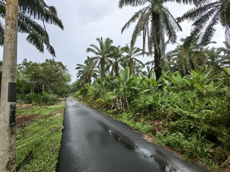 Tanah Pertanian untuk Dijual di Triang (Pahang) - Vincent Tee - PropertyGuru.com.my