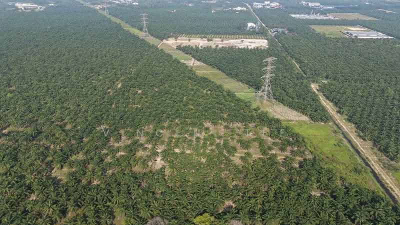 Industrial Land for Sale in Kapar (Selangor) - Vincent Tee - PropertyGuru.com.my