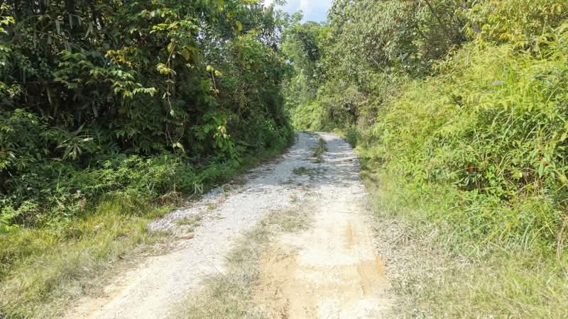 Tanah Pertanian untuk Dijual di Kuala Lipis (Pahang) - Vincent Tee - PropertyGuru.com.my