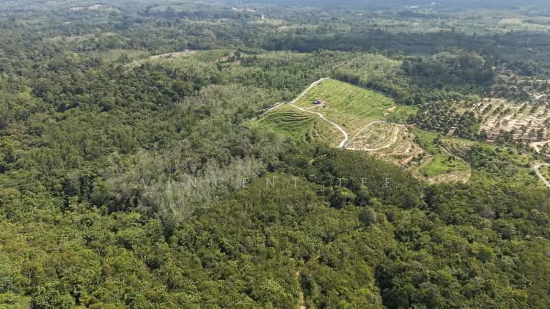Tanah Pertanian untuk Dijual di Kuala Lipis (Pahang) - Vincent Tee - PropertyGuru.com.my