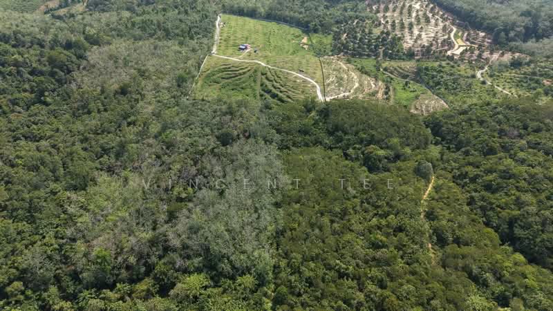Tanah Pertanian untuk Dijual di Kuala Lipis (Pahang) - Vincent Tee - PropertyGuru.com.my