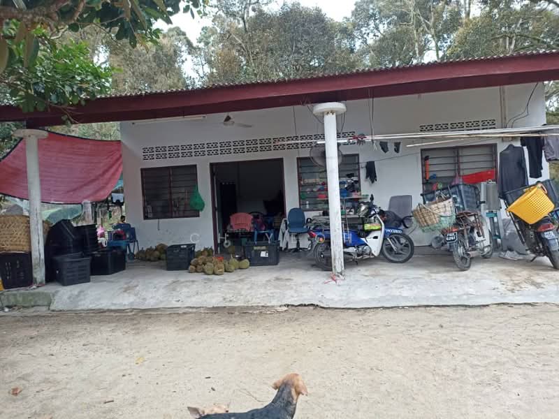 Agricultural Land for Sale in Balik Pulau (Penang) - CH Yeoh - PropertyGuru.com.my
