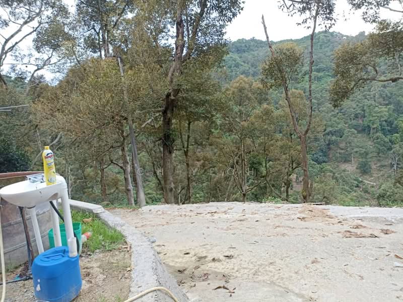 Agricultural Land for Sale in Balik Pulau (Penang) - CH Yeoh - PropertyGuru.com.my