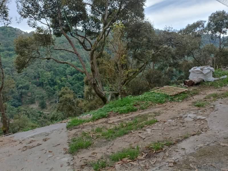 Agricultural Land for Sale in Balik Pulau (Penang) - CH Yeoh - PropertyGuru.com.my