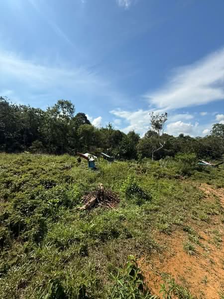 Agricultural Land for Sale in Kota Tinggi (Johor) - Amber Hew - Exterior - PropertyGuru.com.my