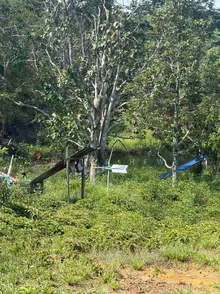Agricultural Land for Sale in Kota Tinggi (Johor) - Amber Hew - Exterior - PropertyGuru.com.my
