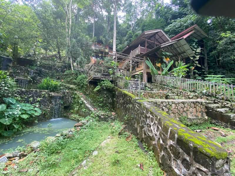 Agricultural Land for Sale in Kampung Bukit Lanjan (Sungai Penchala) - NIK AZWAN - Exterior - PropertyGuru.com.my