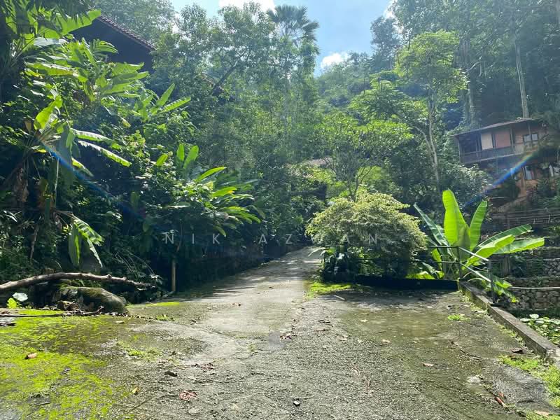 Agricultural Land for Sale in Kampung Bukit Lanjan (Sungai Penchala) - NIK AZWAN - Exterior - PropertyGuru.com.my