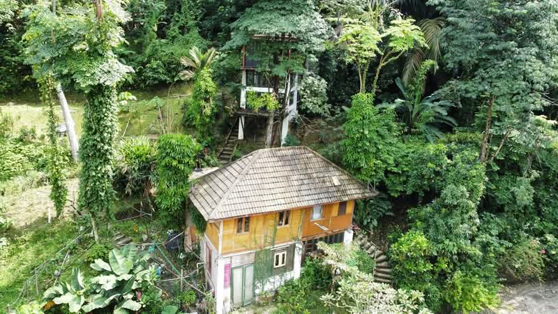 Agricultural Land for Sale in Kampung Bukit Lanjan (Sungai Penchala) - NIK AZWAN - Exterior - PropertyGuru.com.my