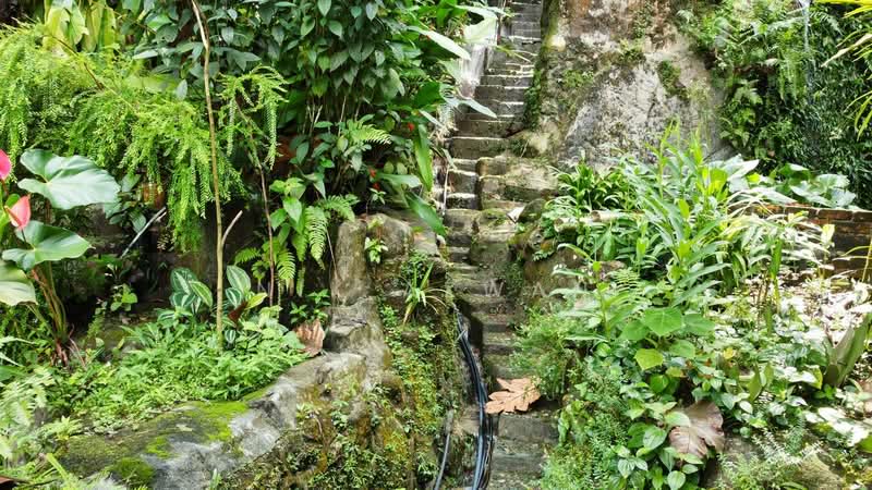 Agricultural Land for Sale in Kampung Bukit Lanjan (Sungai Penchala) - NIK AZWAN - Exterior - PropertyGuru.com.my