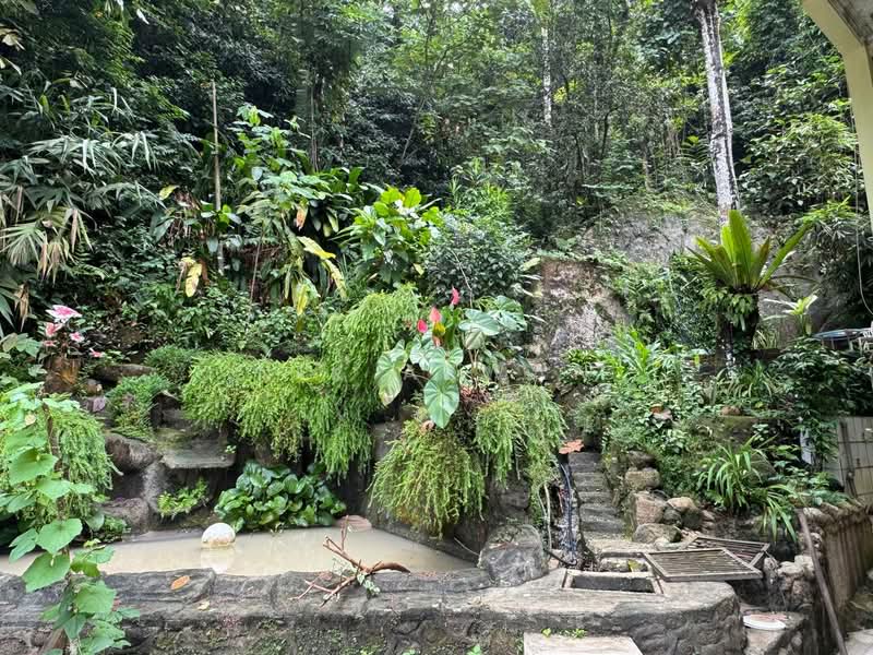 Agricultural Land for Sale in Kampung Bukit Lanjan (Sungai Penchala) - NIK AZWAN - Garden - PropertyGuru.com.my