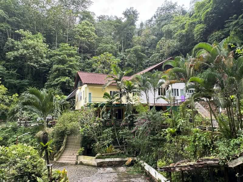 Agricultural Land for Sale in Kampung Bukit Lanjan (Sungai Penchala) - NIK AZWAN - Exterior - PropertyGuru.com.my
