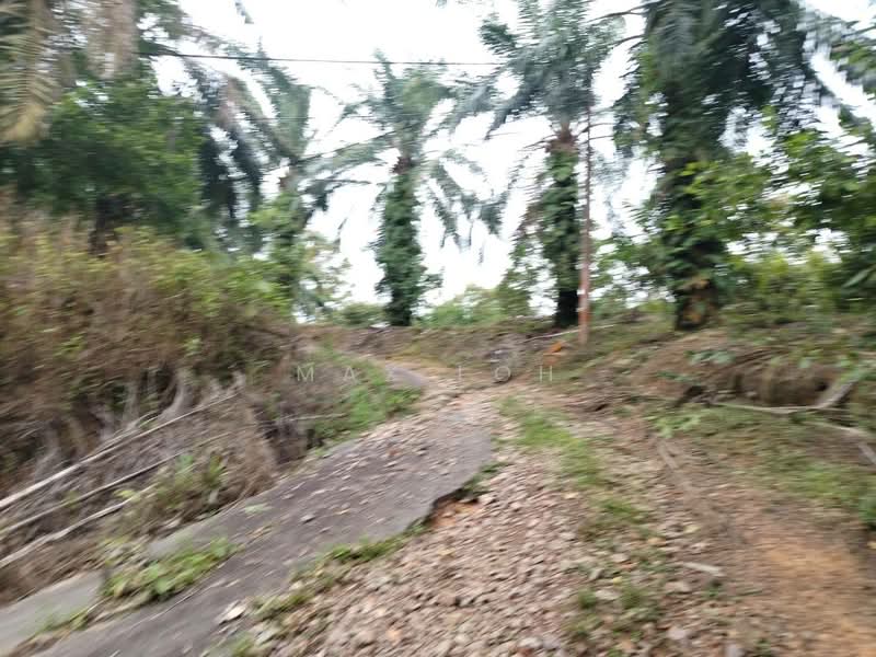 Agricultural Land for Sale in Kluang (Johor) - Max Loh - Exterior - PropertyGuru.com.my