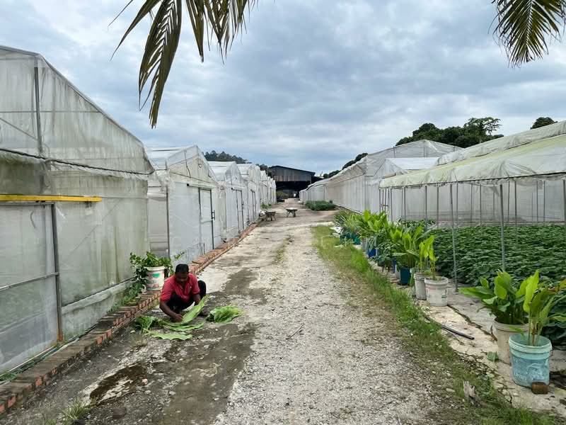 Warehouse for Rent in Mantin (Negeri Sembilan) - Chris Lim - Exterior - PropertyGuru.com.my