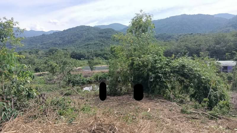 Tanah Pertanian untuk Dijual di Batang Padang (Perak) - Zuraidah Dan - Exterior - PropertyGuru.com.my
