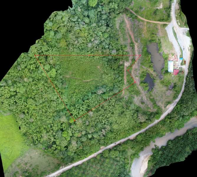 Tanah Pertanian untuk Dijual di Batang Padang (Perak) - Zuraidah Dan - Exterior - PropertyGuru.com.my