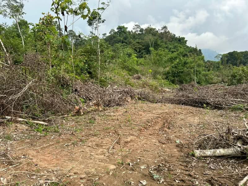Tanah Pertanian untuk Dijual di Batang Padang (Perak) - Zuraidah Dan - Exterior - PropertyGuru.com.my