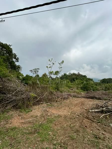 Tanah Pertanian untuk Dijual di Batang Padang (Perak) - Zuraidah Dan - Exterior - PropertyGuru.com.my