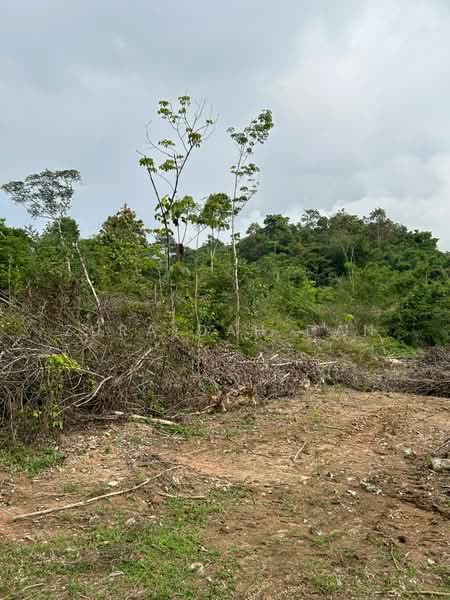 Tanah Pertanian untuk Dijual di Batang Padang (Perak) - Zuraidah Dan - Exterior - PropertyGuru.com.my