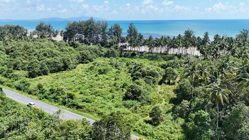 Agricultural Land for Sale in Sematan (Lundu) - Sherene Kok - Exterior - PropertyGuru.com.my