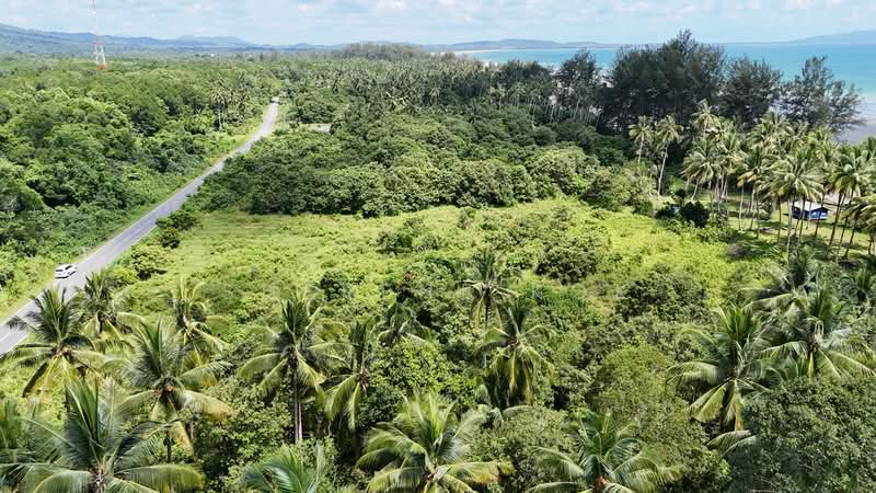 Agricultural Land for Sale in Sematan (Lundu) - Sherene Kok - Exterior - PropertyGuru.com.my