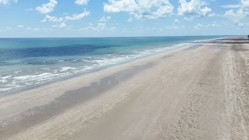 Agricultural Land for Sale in Sematan (Lundu) - Sherene Kok - Exterior - PropertyGuru.com.my