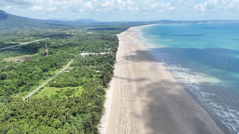 Agricultural Land for Sale in Sematan (Lundu) - Sherene Kok - Exterior - PropertyGuru.com.my