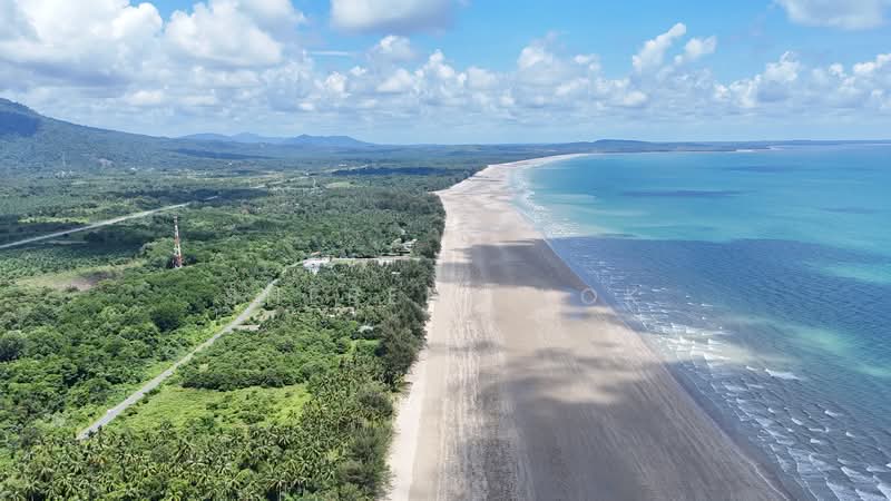Agricultural Land for Sale in Sematan (Lundu) - Sherene Kok - Exterior - PropertyGuru.com.my