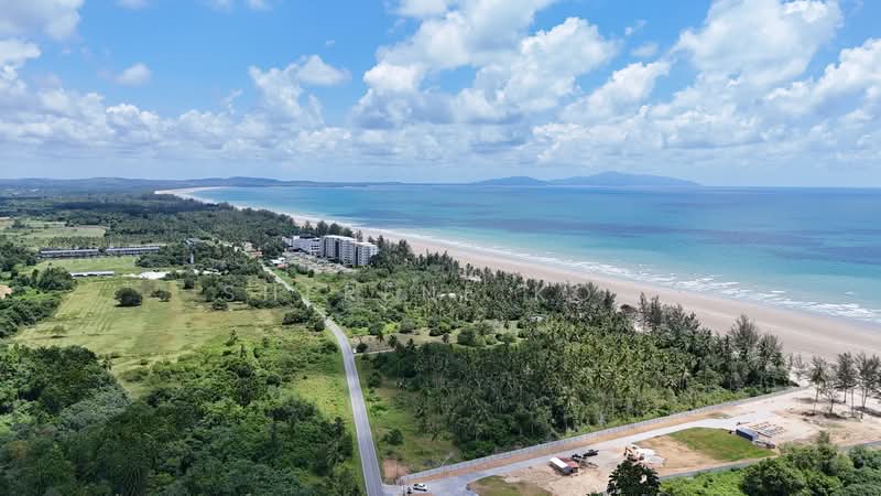 Agricultural Land for Sale in Sematan (Lundu) - Sherene Kok - Exterior - PropertyGuru.com.my