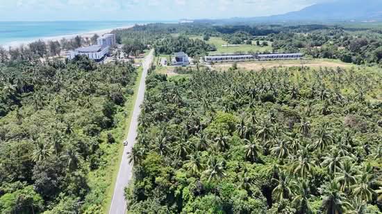 Tanah Pertanian untuk Dijual di Sematan (Lundu) - Sherene Kok - PropertyGuru.com.my