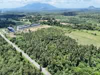 For Sale - L0169 Agricultural Land @ Sematan 1st lot facing main road Nearby Roxy Shoplots
