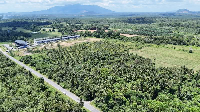 Tanah Pertanian untuk Dijual di Sematan (Lundu) - Sherene Kok - Exterior - PropertyGuru.com.my